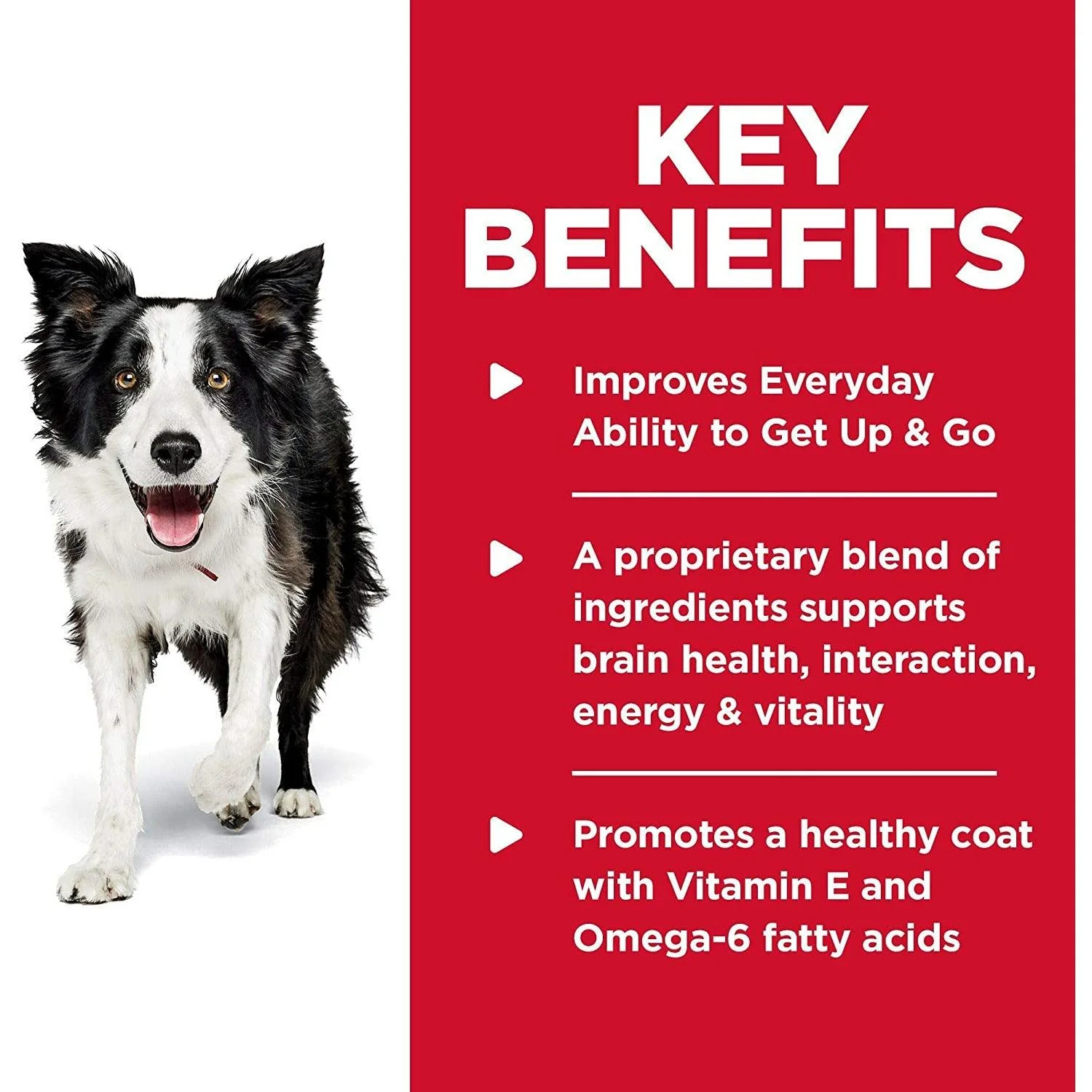 Hill's Science Diet Dry Dog Food, Adult 7+, Senior Vitality, Chicken & Rice Recipe - Image 5