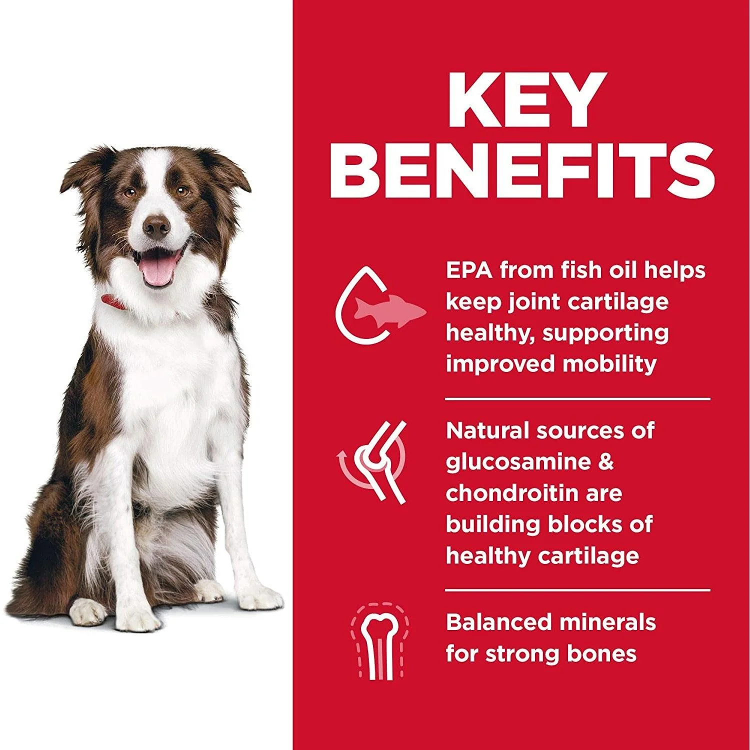 Hill's Science Diet Dry Dog Food, Adult, Large Breed, Healthy Mobility for Joint Health, Chicken Meal, Brown Rice & Barley Recipe - Image 4