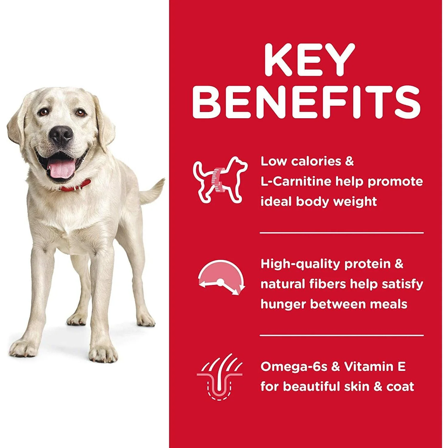 Hill's Science Diet Dry Dog Food, Adult, Large Breed, Light, Chicken Meal & Barley Recipe for Healthy Weight & Weight Management - Image 4