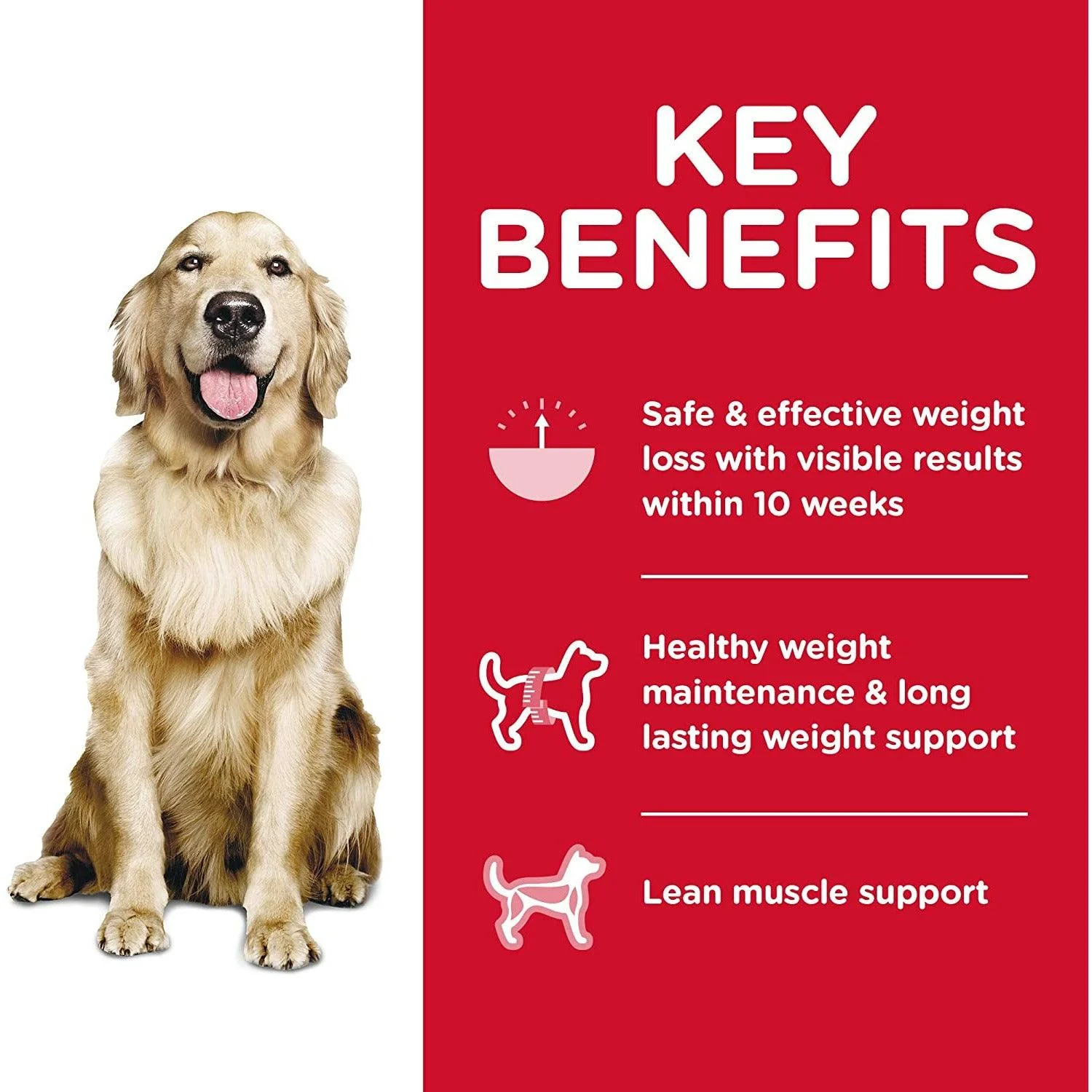 Hill's Science Diet Dry Dog Food Adult Perfect Weight for Weight Management Chicken Recipe - Image 2