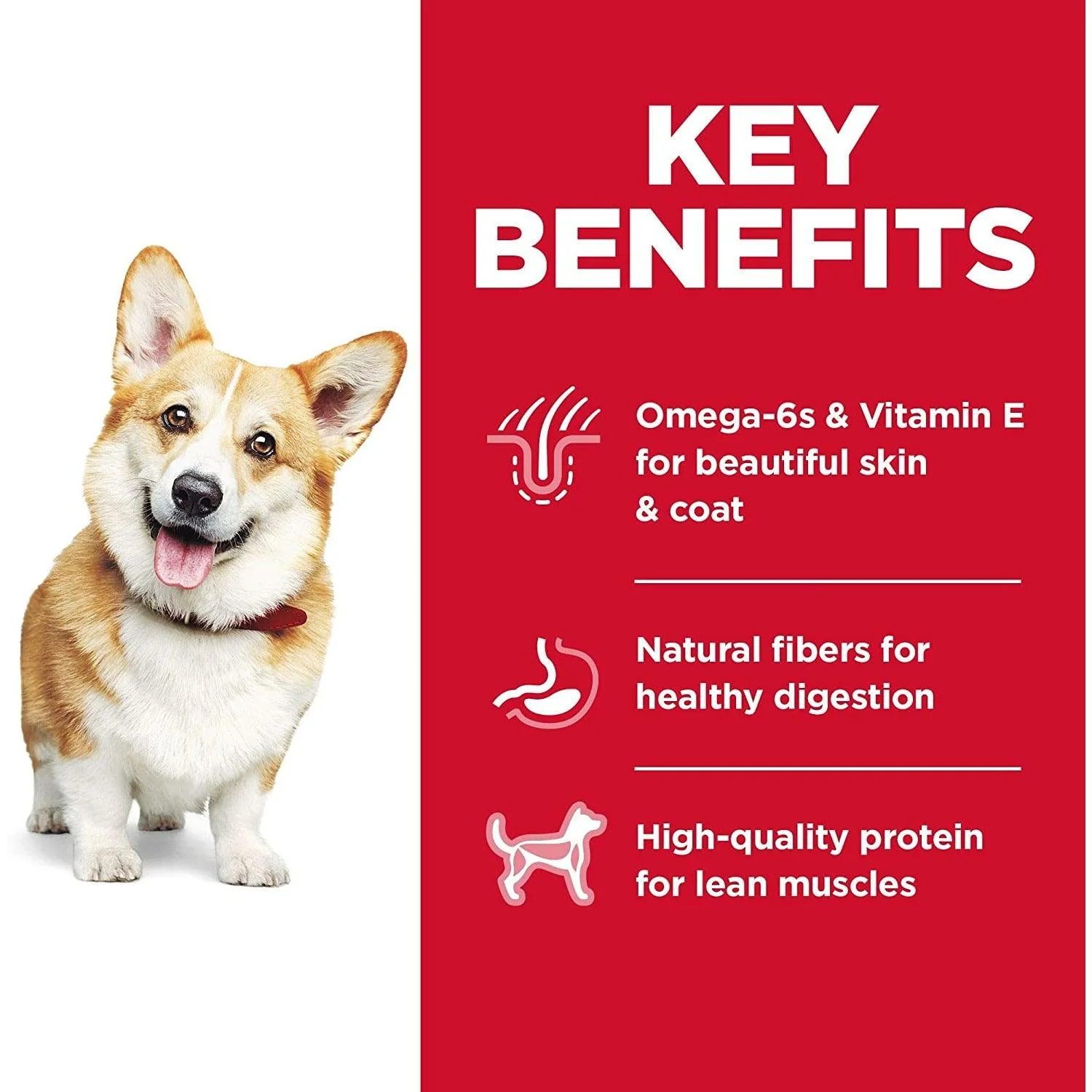 Hill's Science Diet Dry Dog Food Adult Small Bites Chicken & Barley Recipe - Image 4