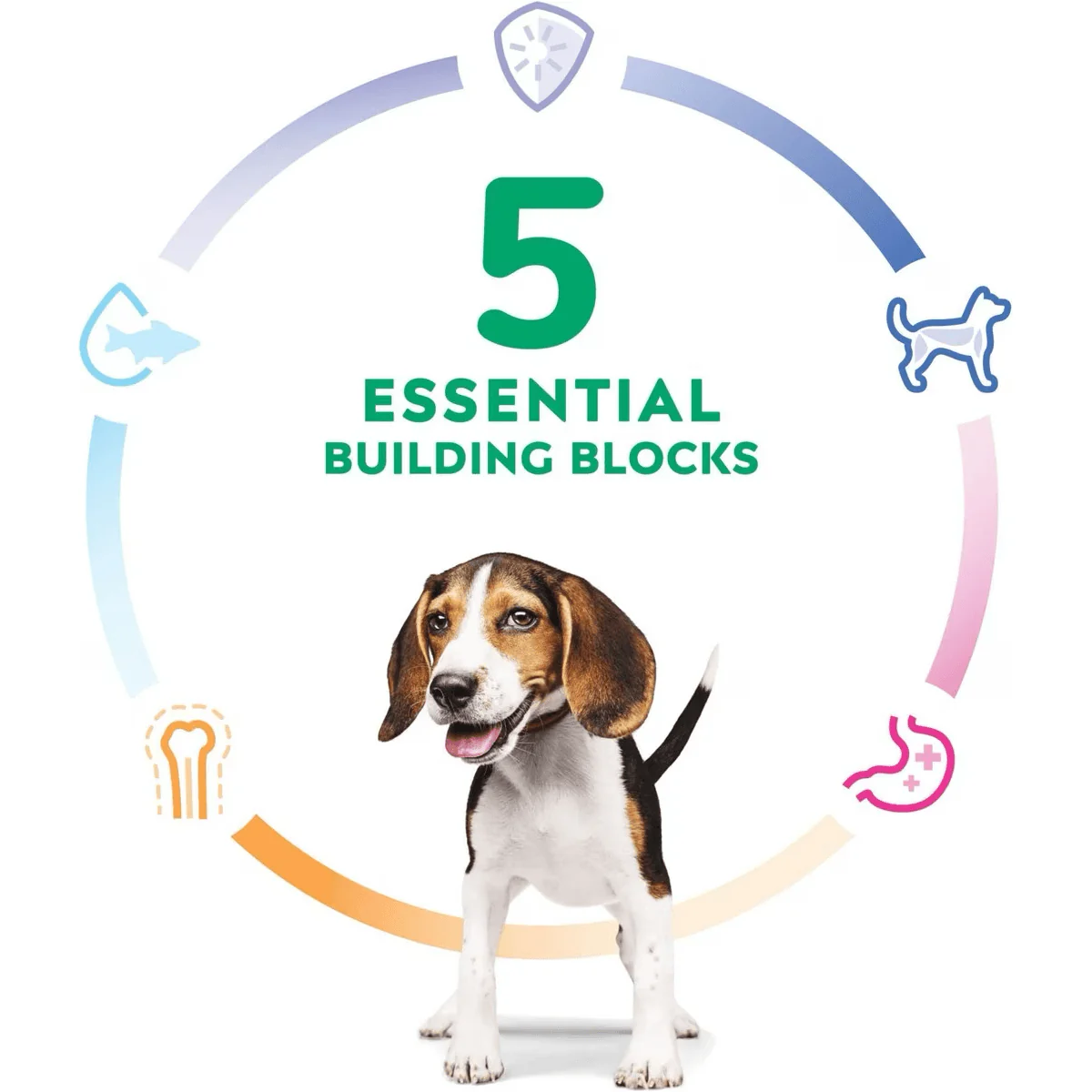 Hill's Science Diet Dry Dog Food, Puppy, Chicken Meal & Barley Recipe - Image 3