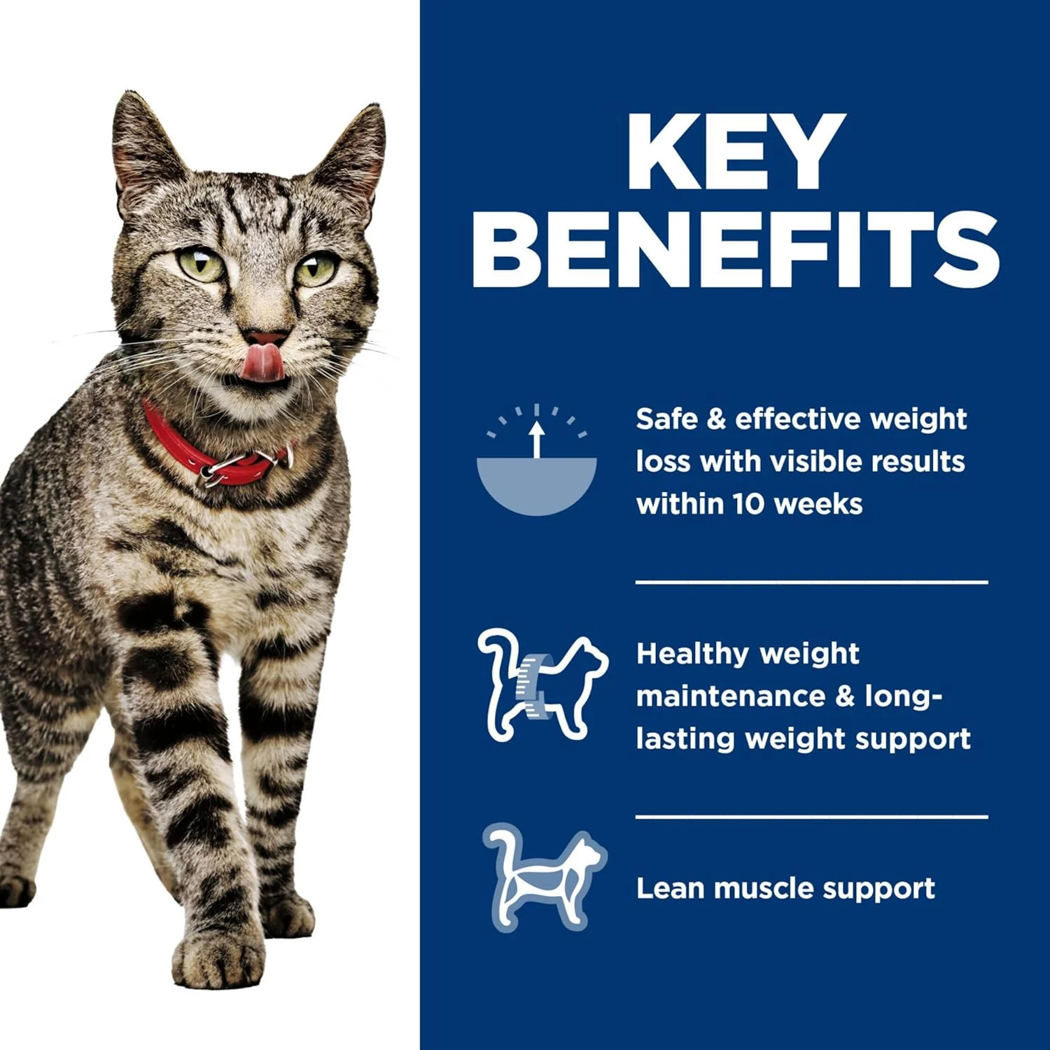 Hill's Science Diet Feline Perfect Weight Variety Pack Canned Cat Food - Image 4