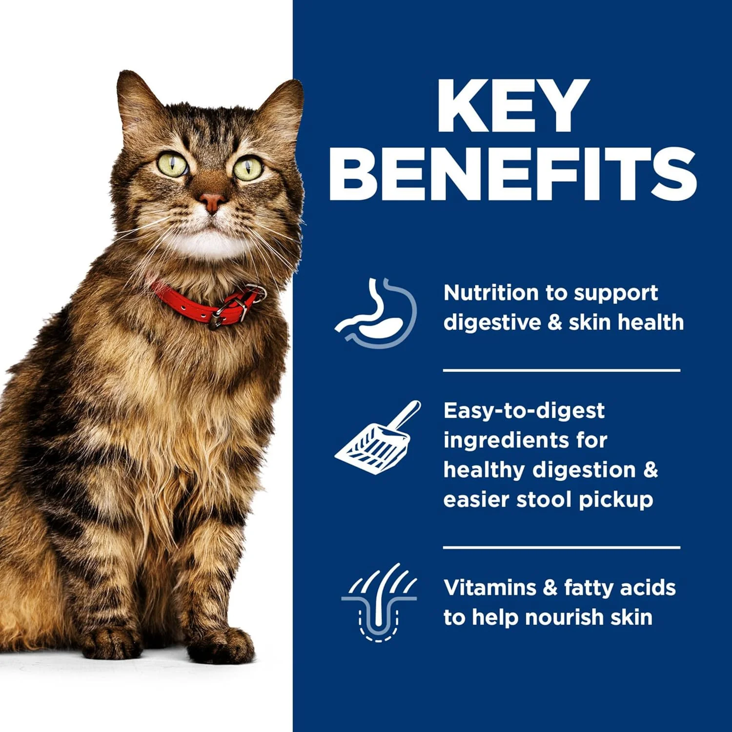 Hill's Science Diet Feline Sensitive Stomach & Skin Variety Pack Canned Cat Food - Image 4