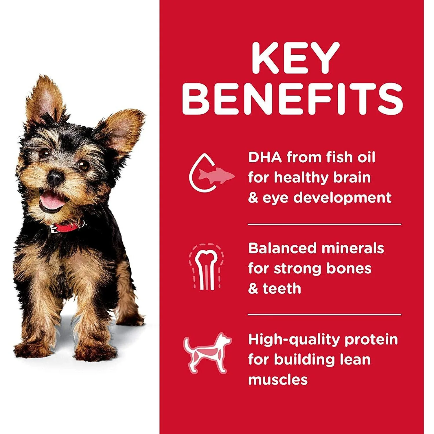 Hill's Science Diet Puppy Small & Toy Breed dog food - Image 4