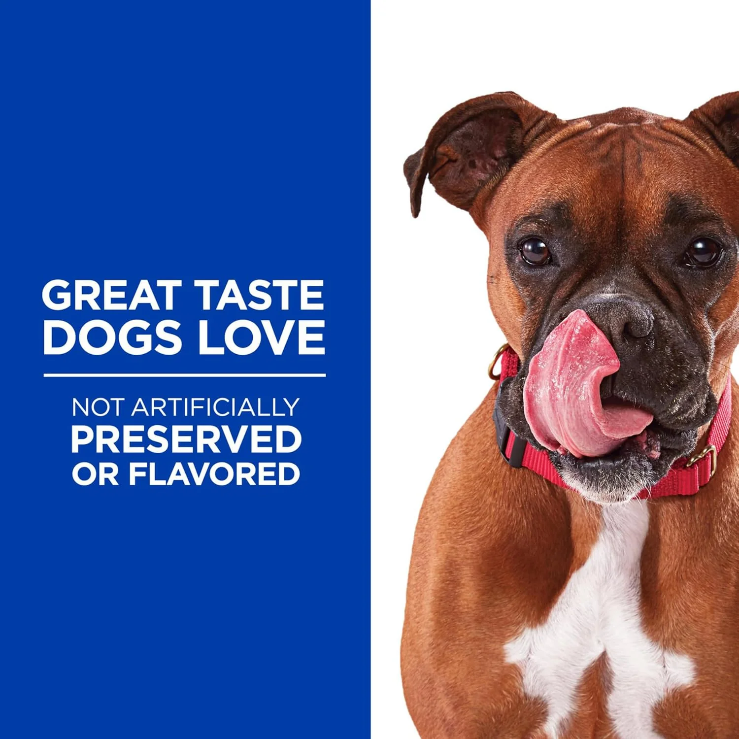 Hills Grain Free Soft-Baked Naturals Dog Treats with Chicken & Carrots - Image 3