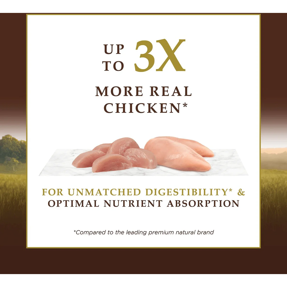 Instinct Ultimate Protein Grain-Free Cage-Free Chicken Recipe Dry Cat Food - Image 4