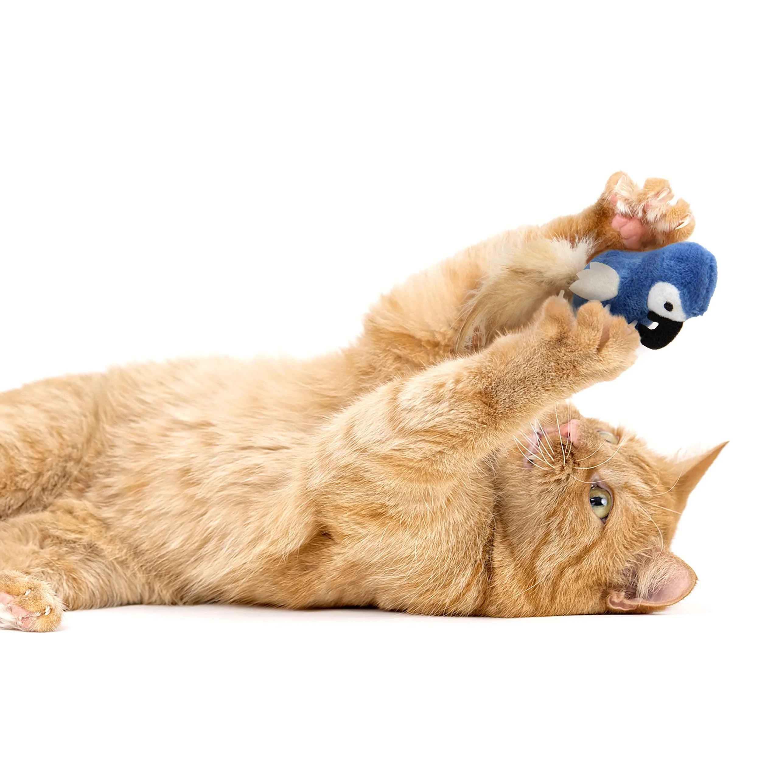 Instincts Cat Chatty Chirp Plush Bird - Image 4