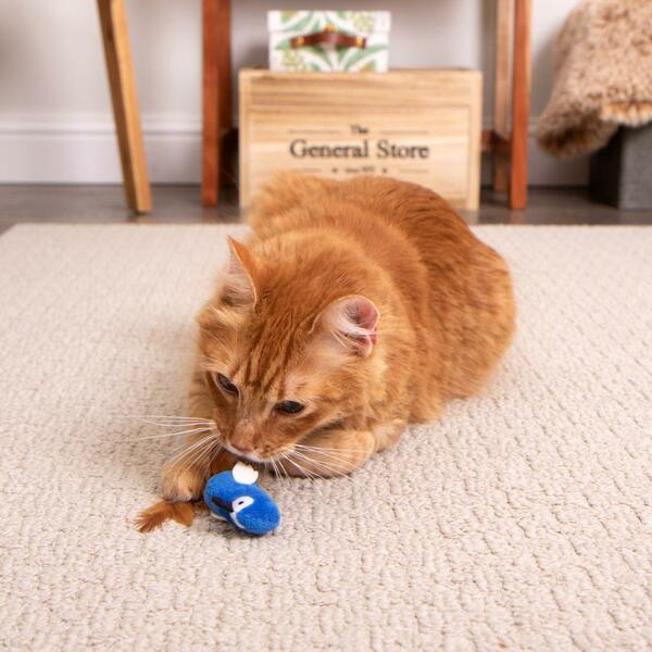 Instincts Cat Chatty Chirp Plush Bird - Image 5