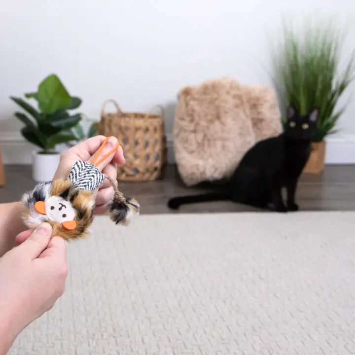 Instincts Cat Prideful Player HappyNip Launch & Chase - Image 4