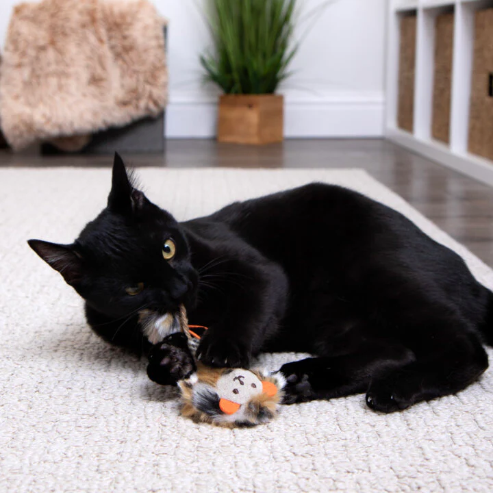 Instincts Cat Prideful Player HappyNip Launch & Chase - Image 5