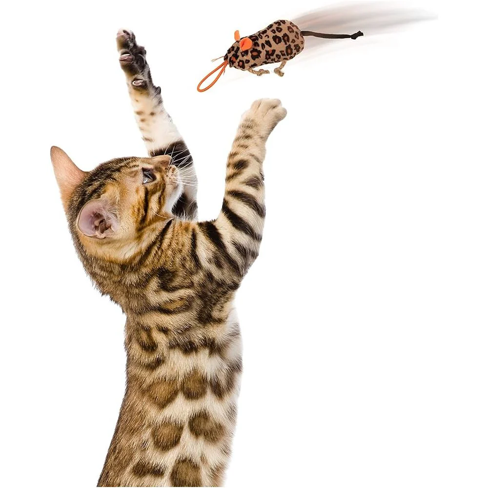 Instincts Cat Safari Sneakers Happynip Launcher 3 pack - Image 4