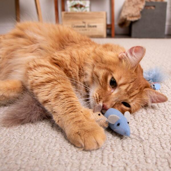 Instincts Cat Silvervine & Catnip Caravan Toss & Bat Mice 3 Pack - Image 4