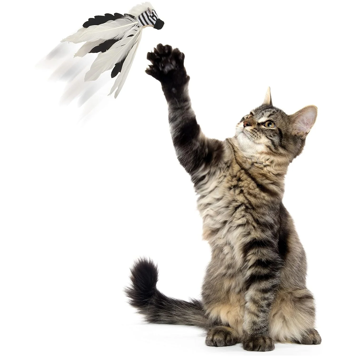 Instincts Cat Zingy Zebratoss & Chase Happy Nip Feathered - Image 4