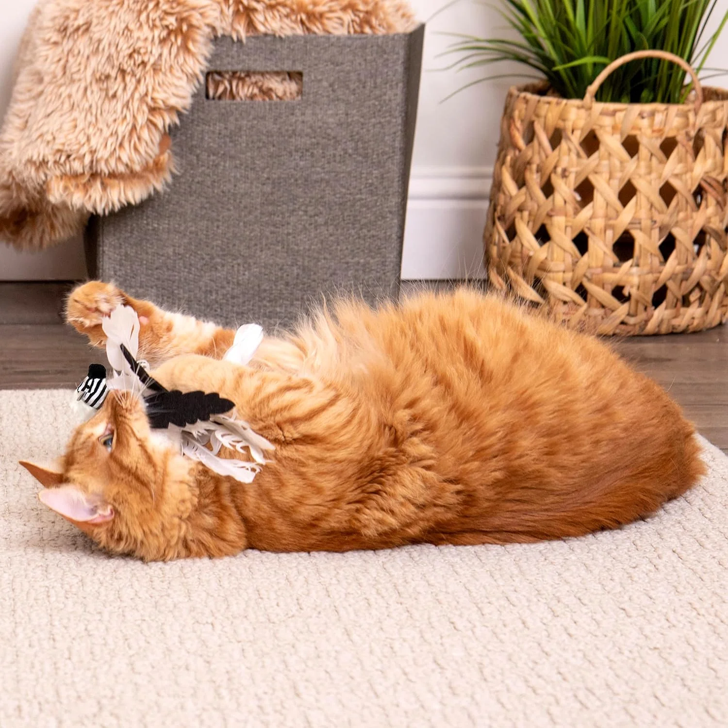 Instincts Cat Zingy Zebratoss & Chase Happy Nip Feathered - Image 5