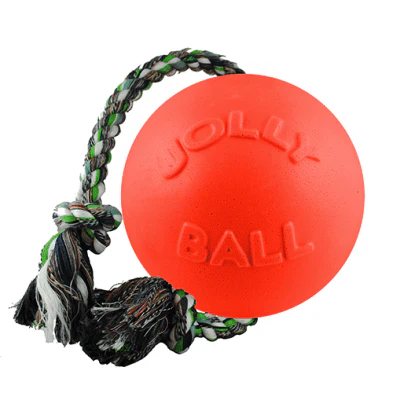 Jolly Pets Romp-N-Play