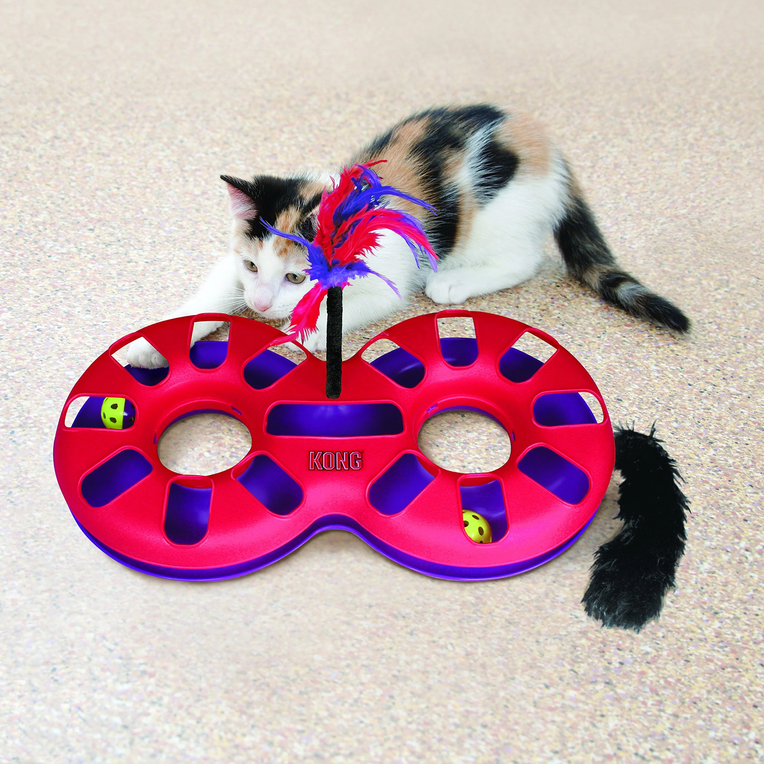 Kong Cat Eight Track - Image 4