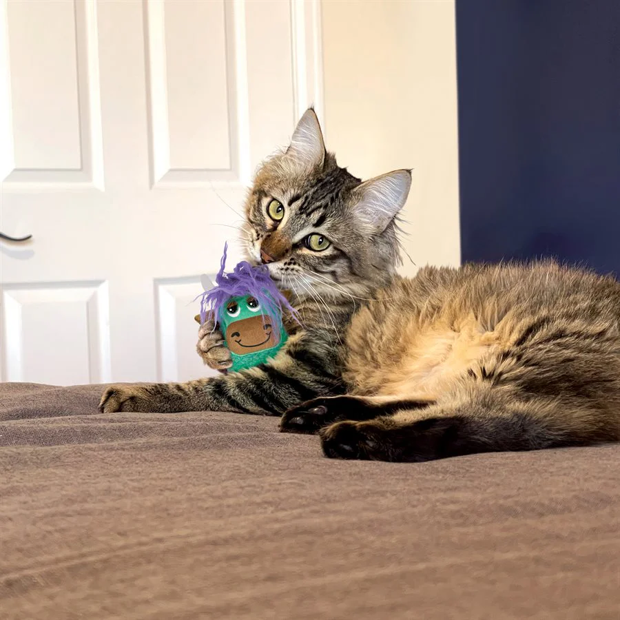 Kong Cat Scrattles Highland Cow Assorted - Image 4
