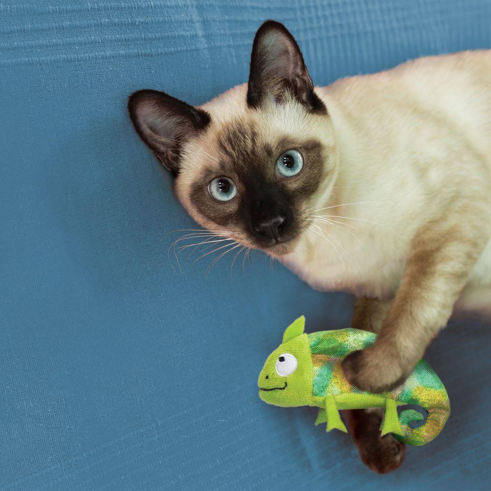 Kong Cat Toy Catnip Refillables Chameleon - Image 2