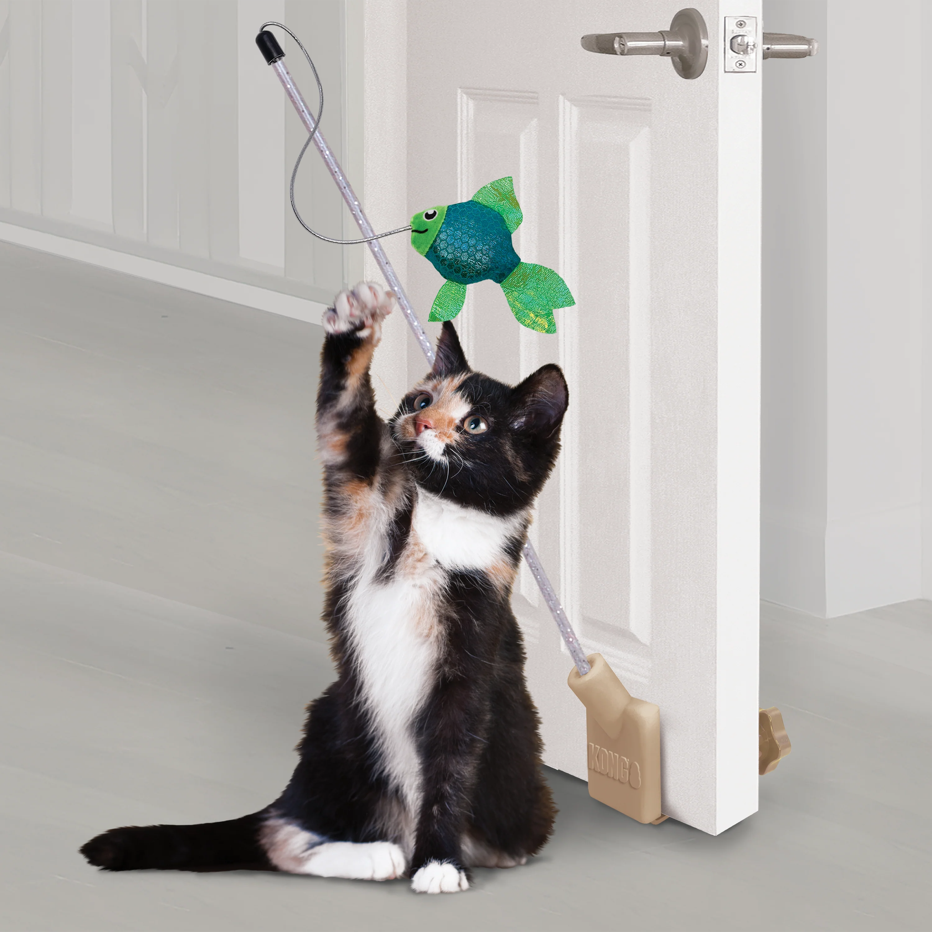 Kong Cats Connect Angler Door Teaser - Image 3
