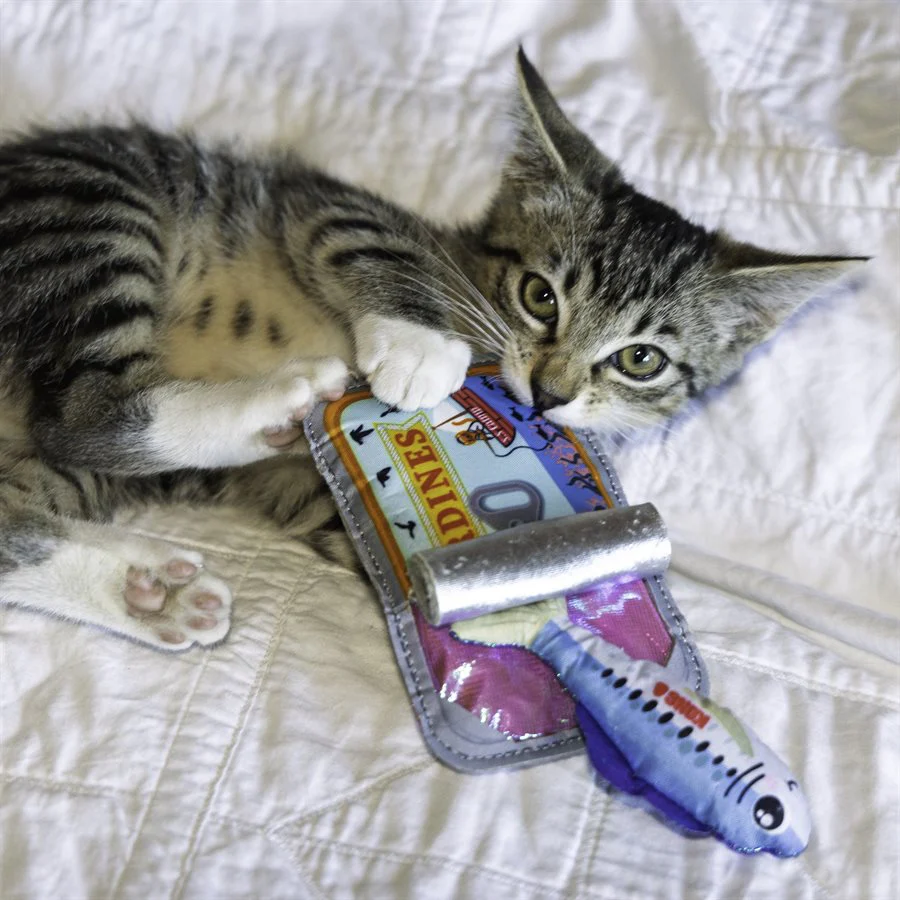 Kong Cats Crackles Sardine Toy - Image 7