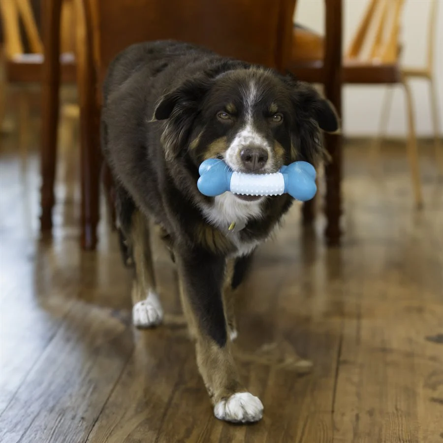 Kong Dental Duos Bone Dog Toy - Image 3