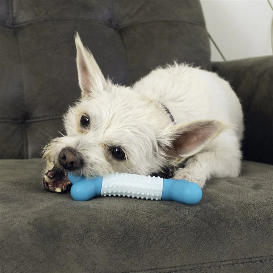 Kong Dental Duos Stick Dog Toy - Image 3