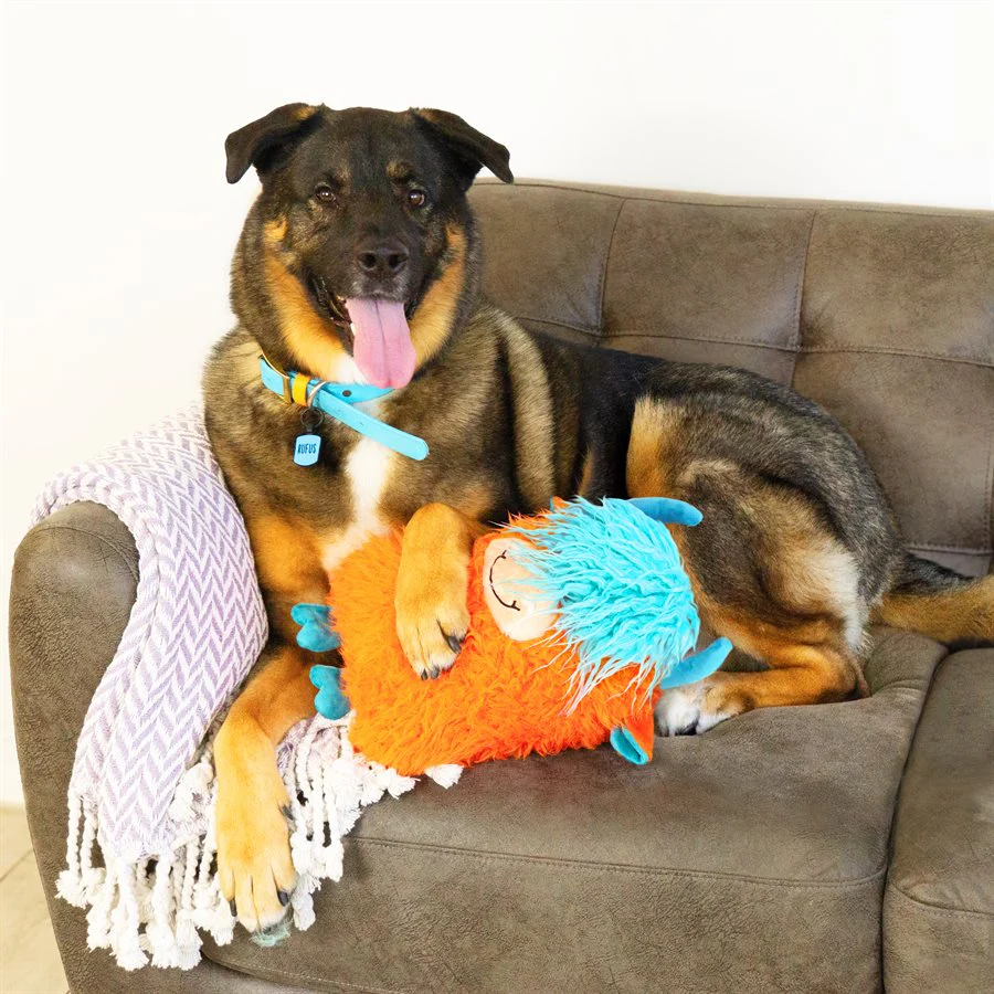 Kong Dog Comfort Jumbo Highland Cow Assorted - Image 4