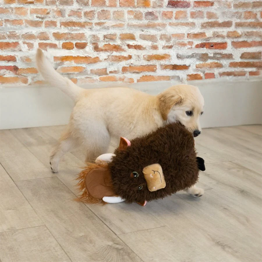 Kong Dog Comfort Jumbo Highland Cow Assorted - Image 5