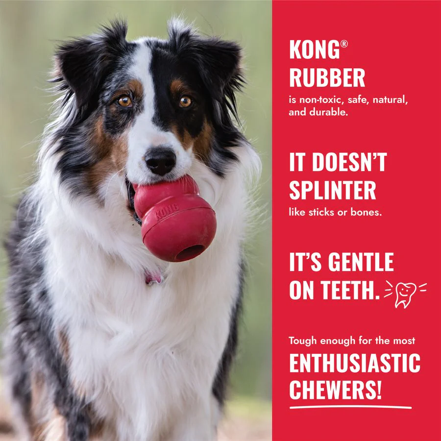 Kong Donut Dog Toy - Image 5