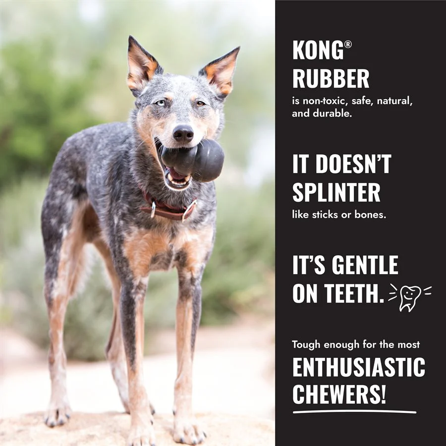 Kong Extreme Donut Dog Toy - Image 3