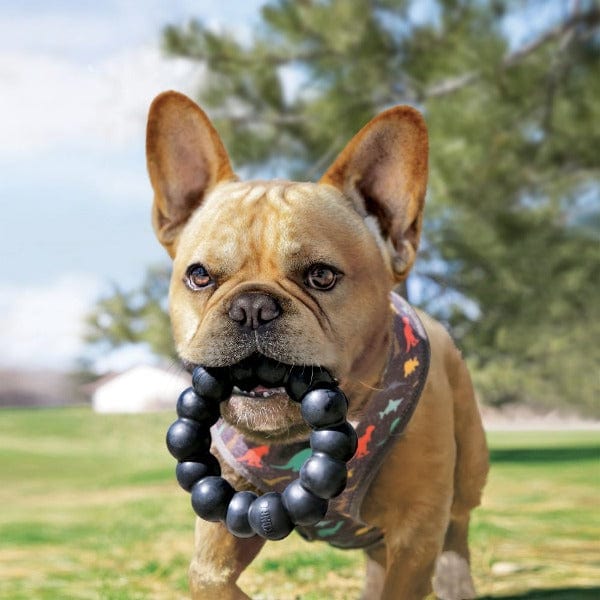 Kong Dog Extreme Ring - Image 3