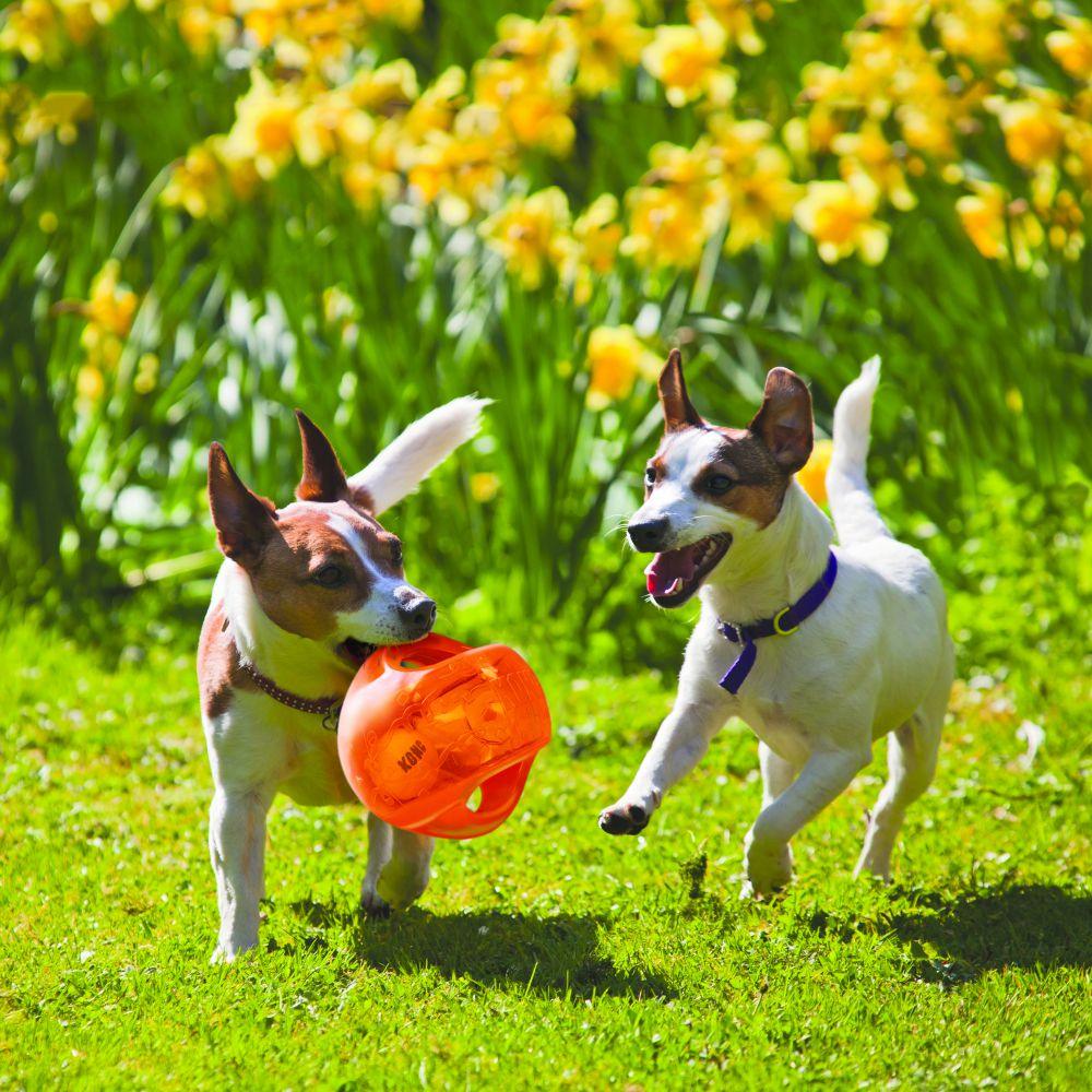 Kong Dog Jumbler Ball - Image 2