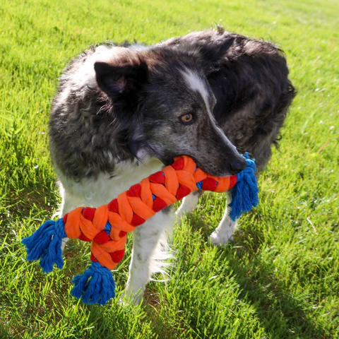Kong Dog Rope Rally Bone - Image 3