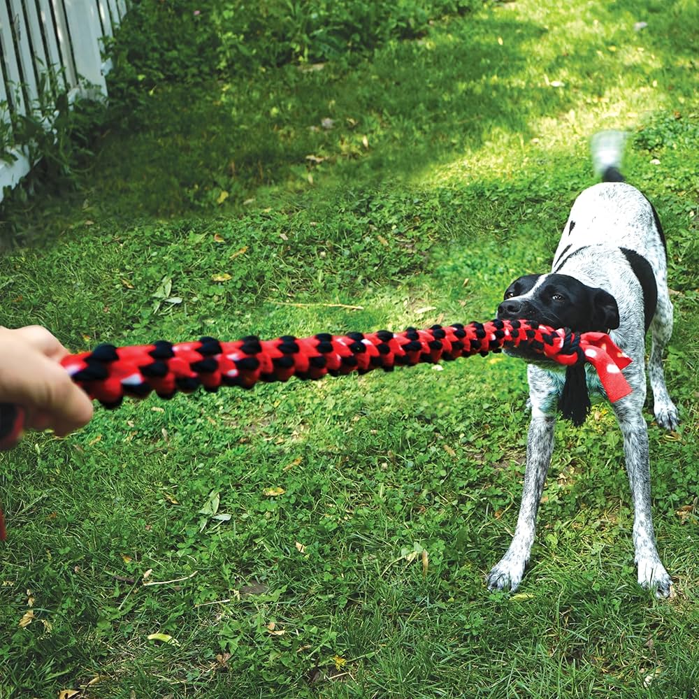 Kong Dog Signature Rope Dual Knot - Image 2