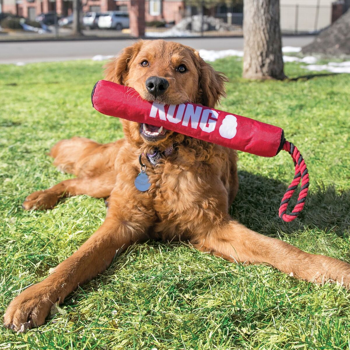 Kong Dog Signature Stick with Rope - Image 4