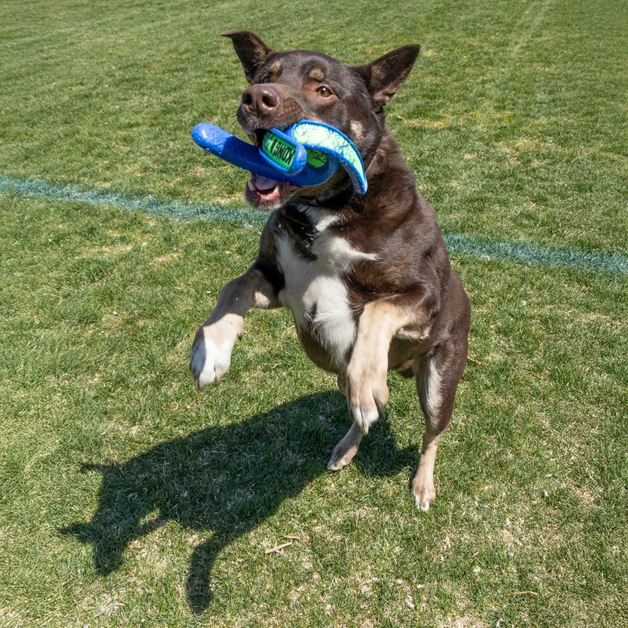 Kong Whirlz Throw Dog Toy - Image 5
