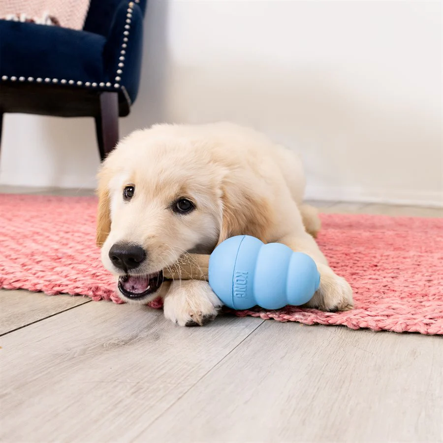 Kong Dog Ziggies Enhanced Puppy - Image 5