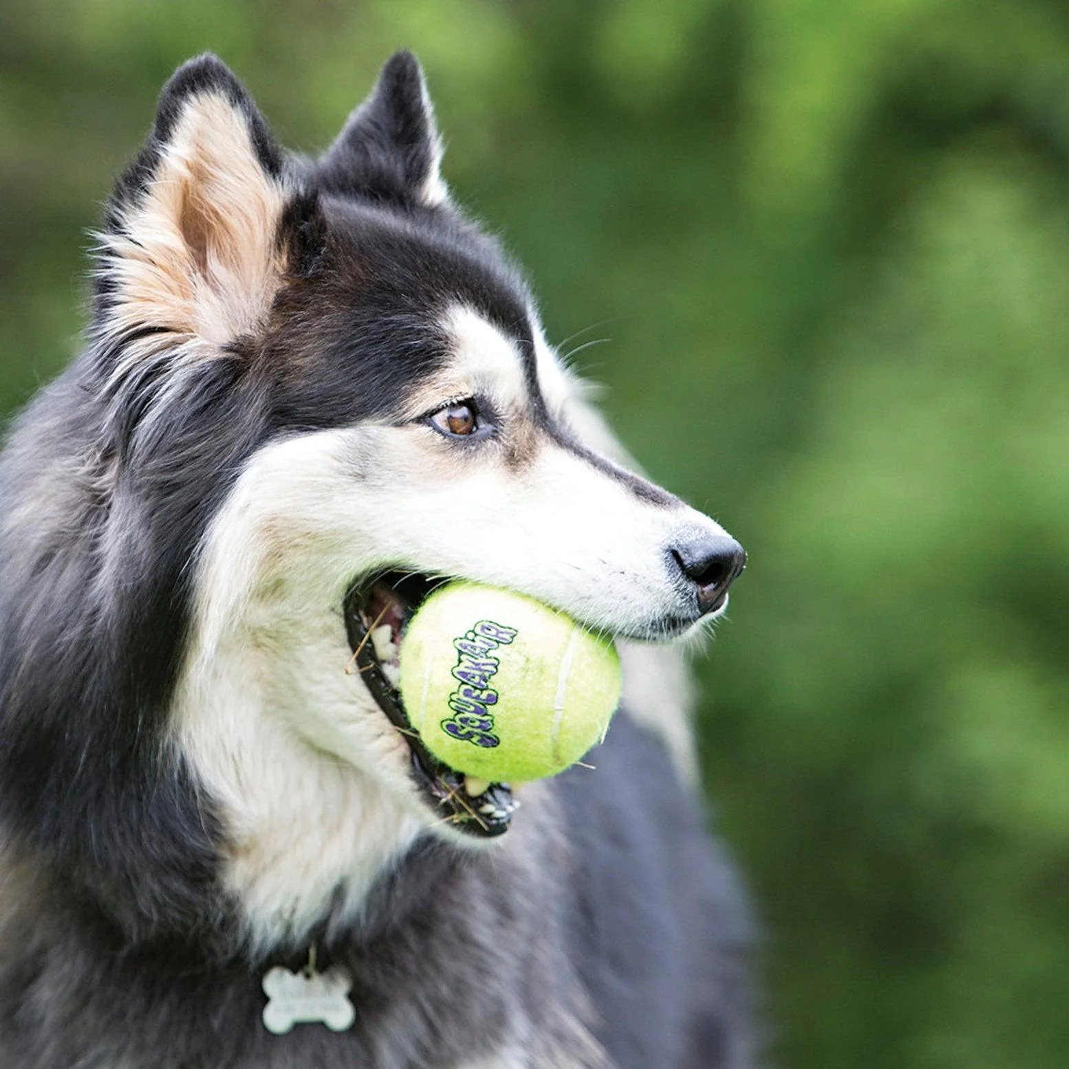 Kong SqueakAir Tennis Balls - Medium - 3 Pack - Image 2