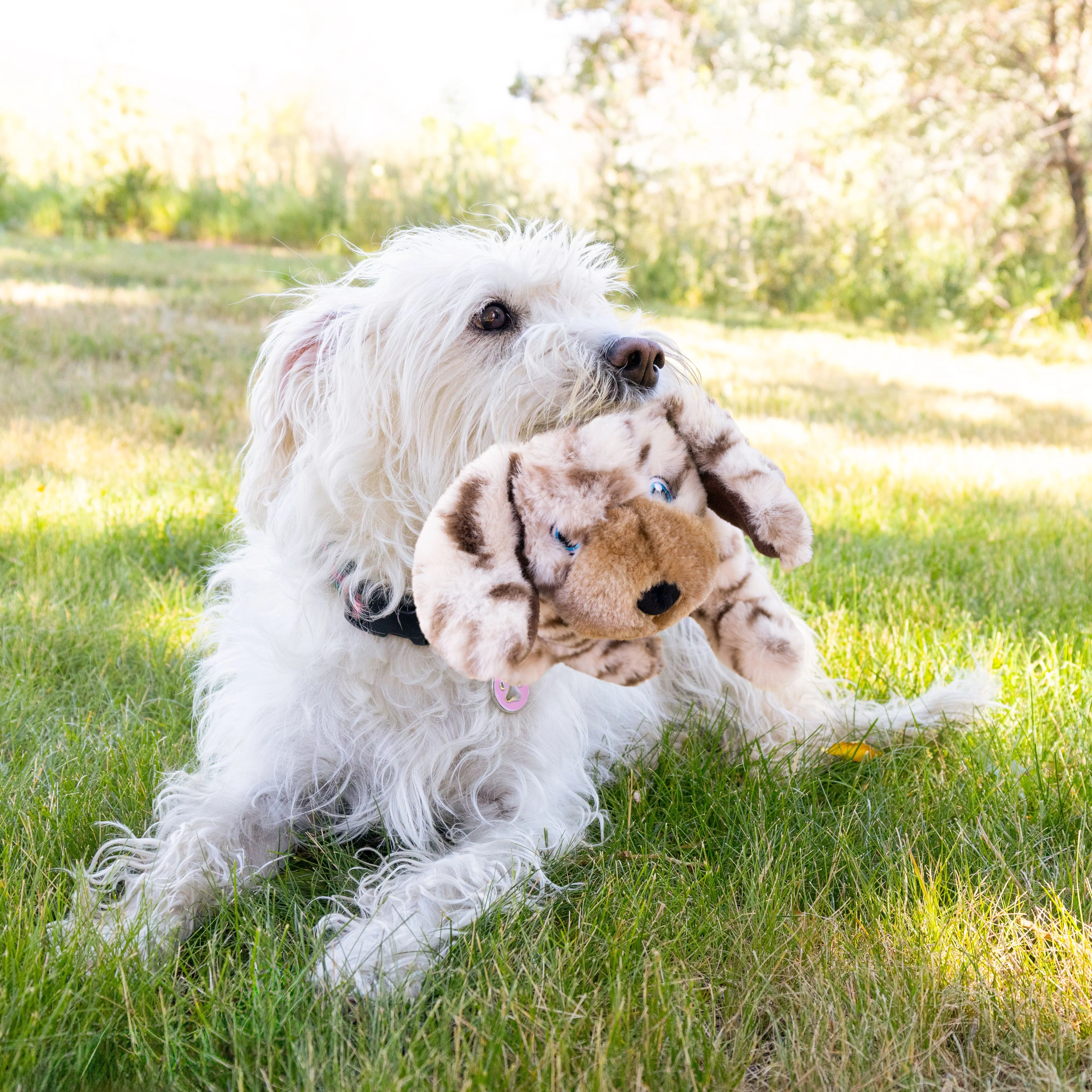 Kong Toughz Pup - Image 4