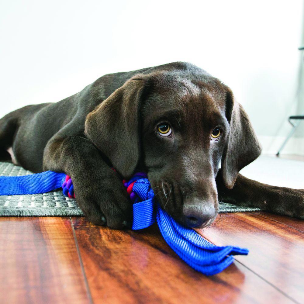 Kong Tugga Wubba Dog Toy - Image 3