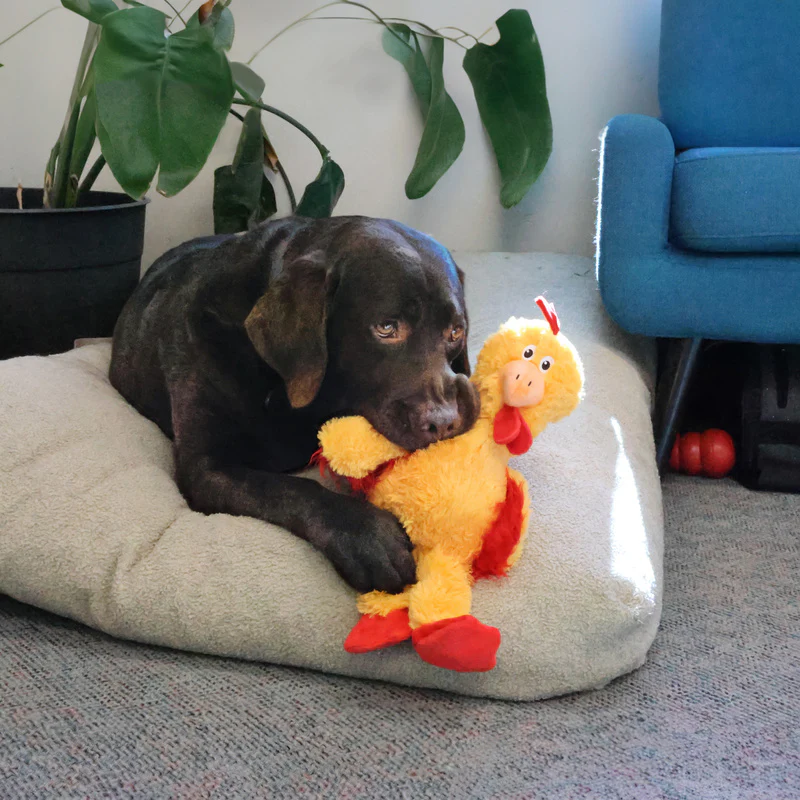Kong Wild Knots Chicken Dog Toy - Image 2