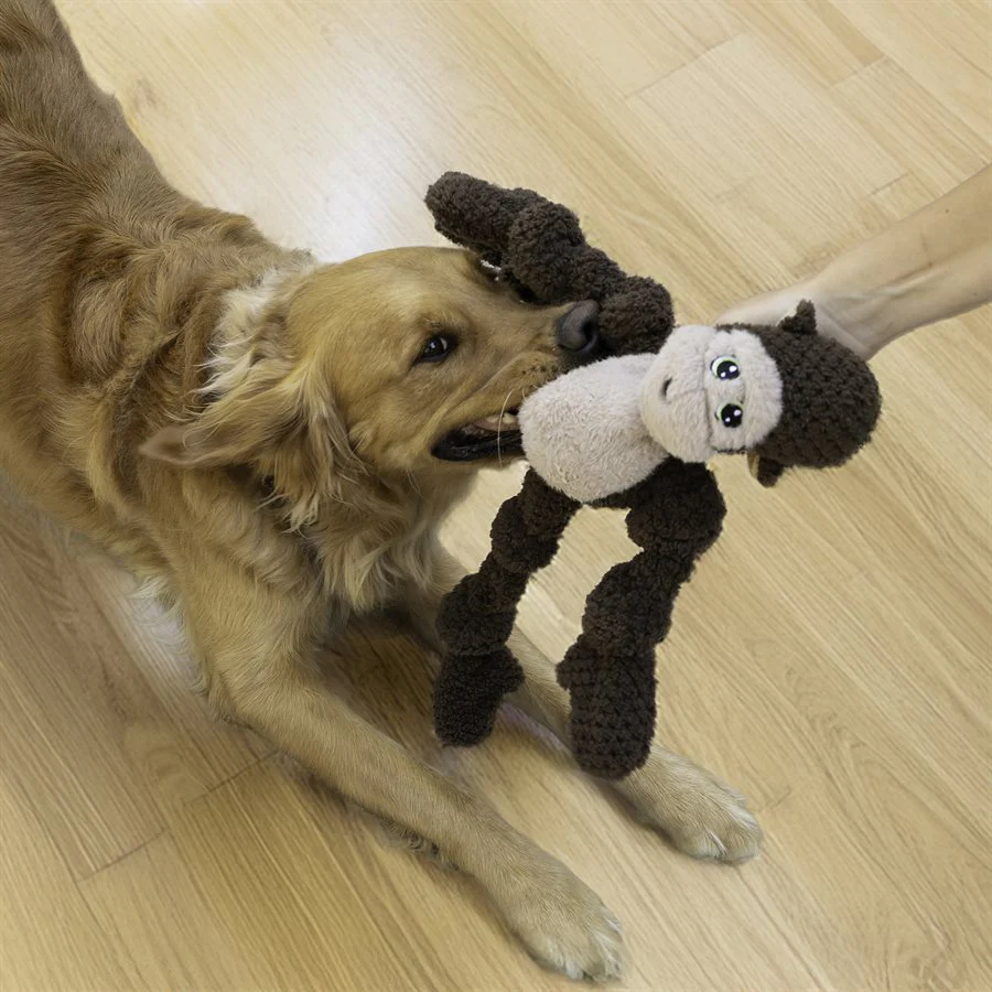 Kong Wild KnotS Monkey Extra Large/X-Large - Image 6