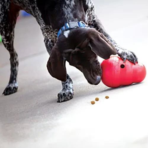 Kong Wobbler Dog Toy - Image 5