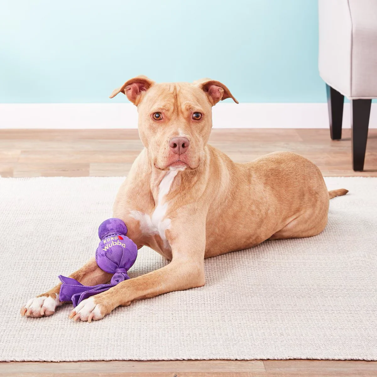 KONG Wubba Classic Dog Toy Colour Varies - Image 3