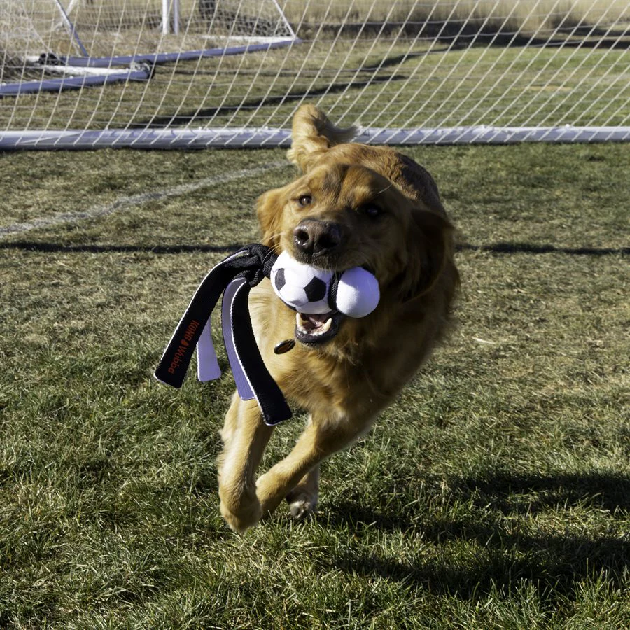 KONG Wubba Sport Soccer Ball Dog Toy - Image 4