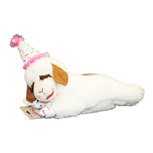 Lamb Chop With Birthday Hat Plush Dog Toy - Image 10