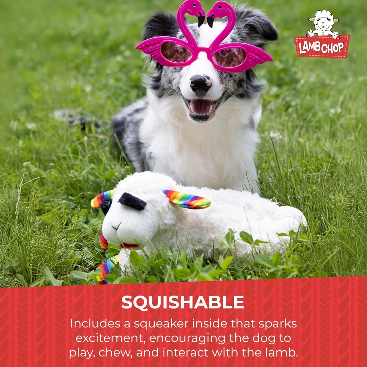 Lamb Chop With Birthday Hat Plush Dog Toy - Image 4