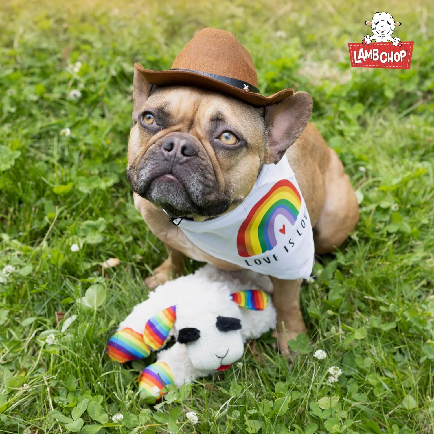 Lamb Chop With Birthday Hat Plush Dog Toy - Image 8