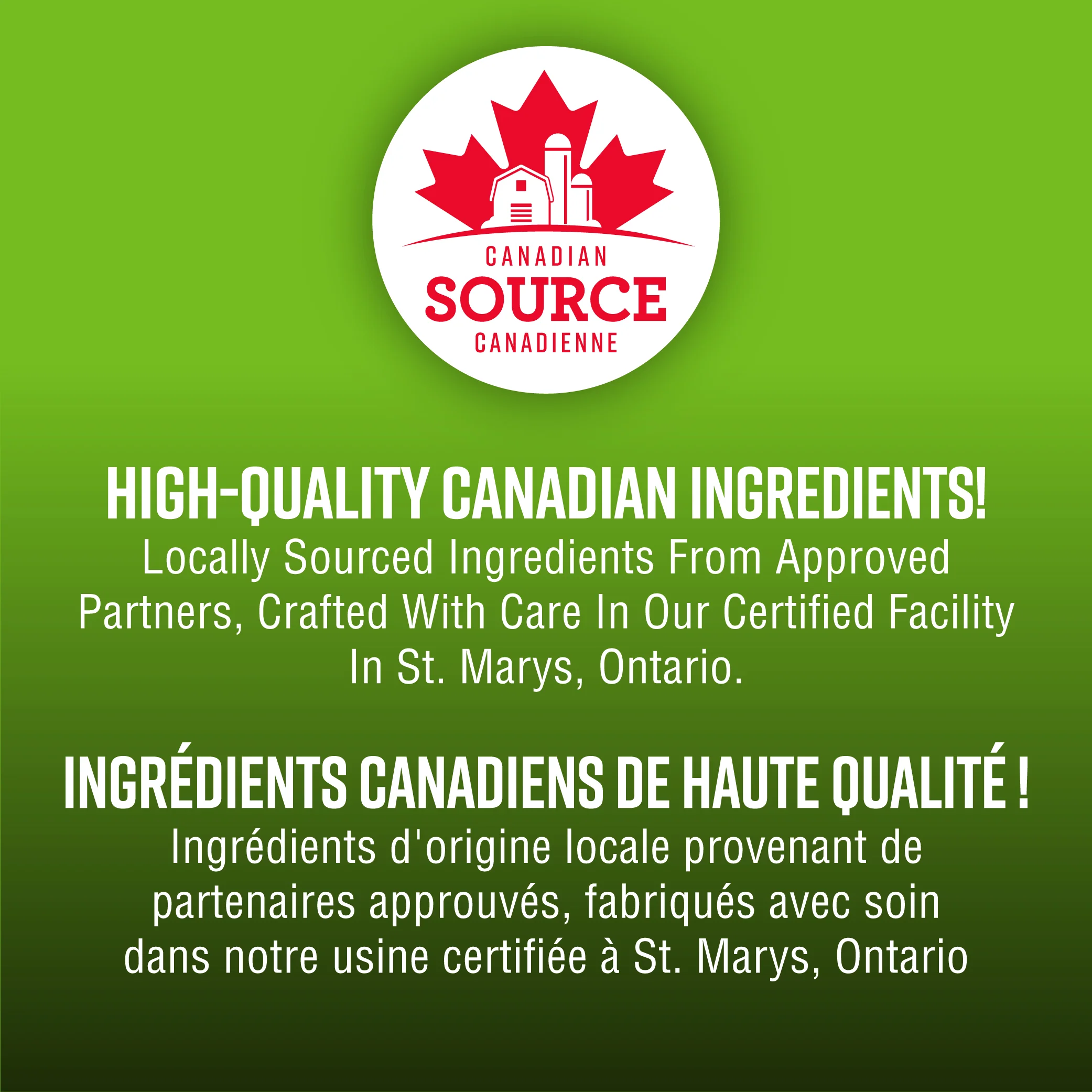 Lifetime Pasture Fed Lamb Grain Free Dog Food - Image 3